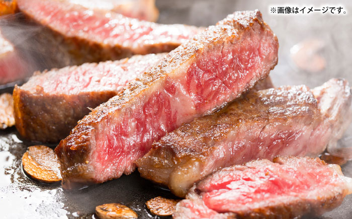 【全12回定期便】壱岐牛サーロインステーキ＆壱岐牛カレー3種セット《壱岐市》【壱岐フードファクトリー】カレー サーロイン ステーキ 壱岐牛 [JDW118]