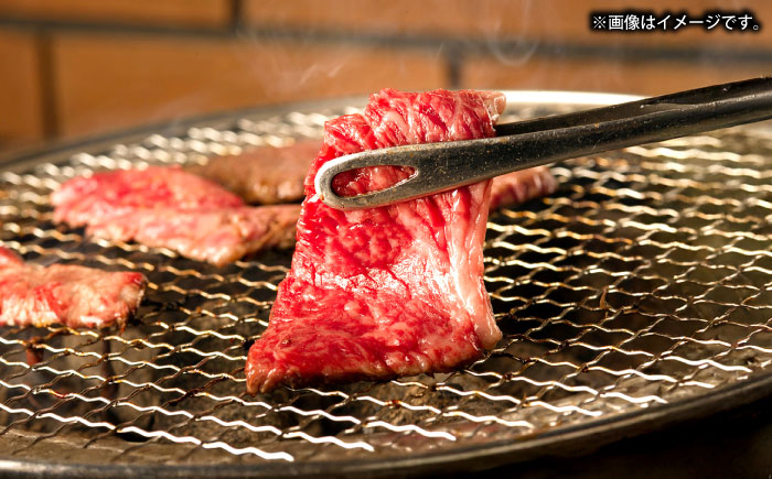 【全3回定期便】壱岐牛モモ＆壱岐牛カレー中辛セット《壱岐市》【壱岐フードファクトリー】カレー モモ 焼き肉 壱岐牛 [JDW131]