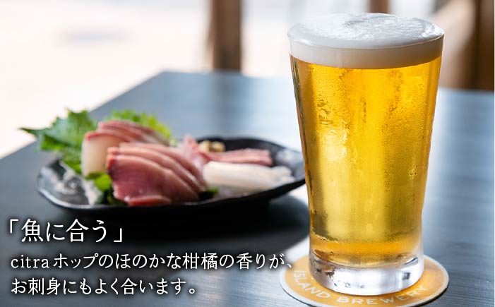 【全6回 定期便 】クラフトビール 地ビール GOLDEN ALE 6本 【ISLAND BREWERY】 《 壱岐市 》[JED010] 102000 102000円
