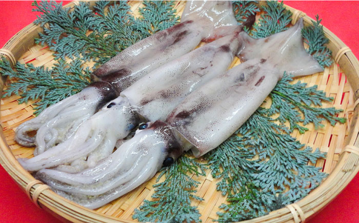 焼売 ウニ のっけ いかしゅうまい 2箱 セット 《壱岐市》【大幸物産株式会社】 うに イカ いか シュウマイ [JEH017] 17000 17000円