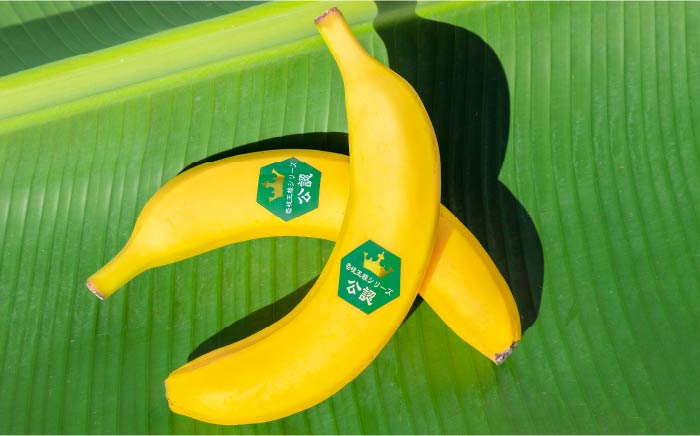 皮ごと食べられる！壱岐王様バナナ 1kg（5-7本程度） [JEL001] 35000 35000円