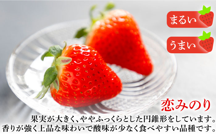 【先行予約】【全3回定期便】お徳用 いちご 1kg 苺 バラ詰め ゆめのか 恋みのり ゴロゴロ生 イチゴ 中玉小玉サイズ【2026年2月以降順次発送】《壱岐市》【蒼花】 [JEO004]
