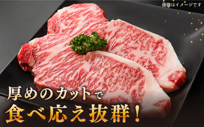 【全2回定期便】長崎和牛 サーロインステーキ 1kg（250g×4枚）《壱岐市》【長崎フードサービス】 肉 牛肉 赤身 国産 冷凍配送 [JEP027]