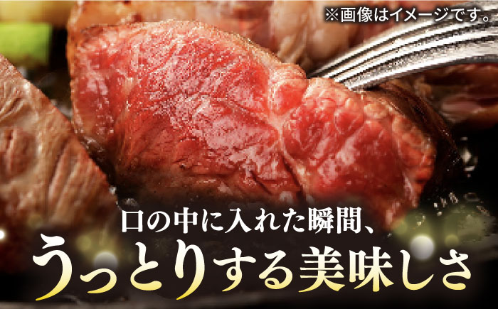 壱岐牛 A5ランク ギフトセット 《壱岐市》【KRAZY MEAT】 [JER041] ステーキ 厚切り 赤身 希少部位 お肉 黒毛和牛 贅沢 のし ギフト