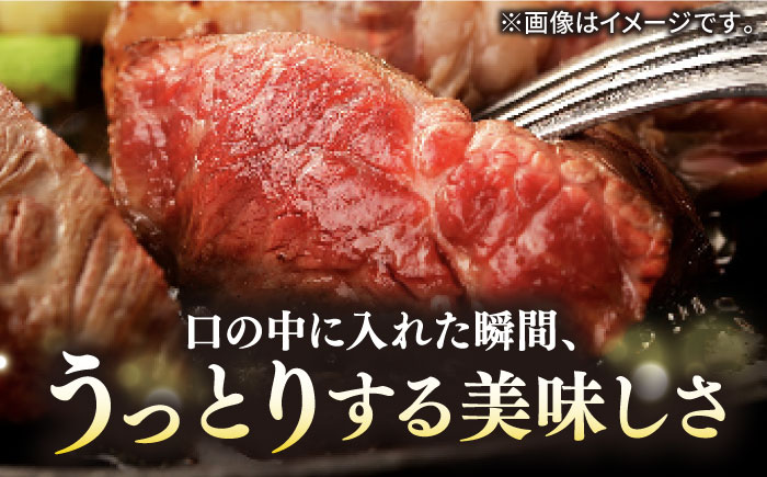 【全12回定期便】壱岐牛 A5ランク ギフトセット 《壱岐市》【KRAZY MEAT】 [JER045] ステーキ 厚切り 赤身 希少部位 お肉 黒毛和牛 セット 贅沢 500000 500000円 50万円