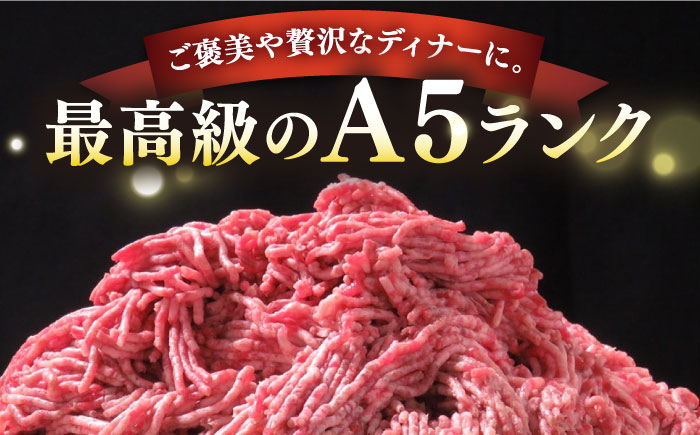 【全2回定期便】壱岐牛 A5ランク 牛ミンチ 約500g×6《壱岐市》【KRAZY MEAT】 小分け ミンチ 挽き肉 ひき肉 牛肉 赤身 ハンバーグ 肉 個包装 [JER090]