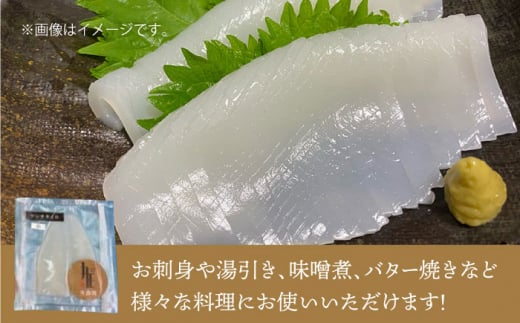 剣先イカ 刺身 （小） 3杯 《壱岐市》【株式会社マルショウ】 いか イカ 剣先いか セット おつまみ [JEW002] 12000 12000円 のし ギフト