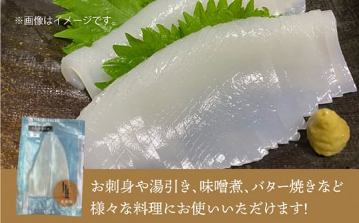 剣先イカ 刺身 （中） 3杯 《壱岐市》【株式会社マルショウ】 いか イカ 剣先いか セット おつまみ のし ギフト [JEW003] 15000 15000円