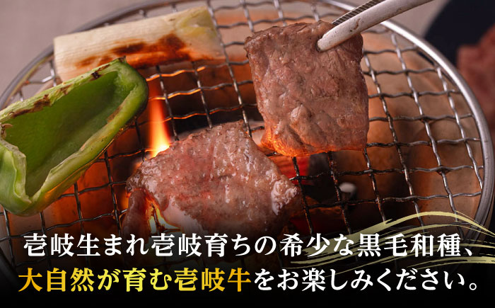 【高島屋選定品】〈壱岐市農業協同組合〉壱岐牛 赤身 焼肉用 500g《壱岐市》 牛肉 焼肉  [JFJ031] 25000 25000円
