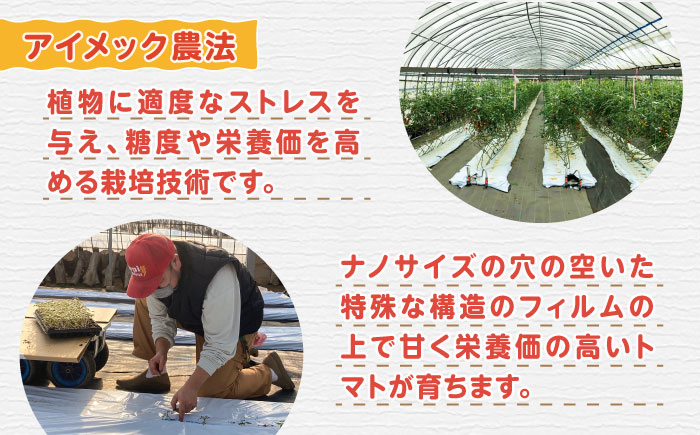 ミディアムトマト バラ 3kg（1.5kg×2箱）《壱岐市》【ISLAND FARM】 トマト 生鮮 野菜 夏 22000 22000円 [JFL002]