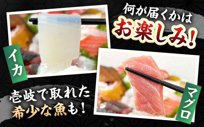 【厳選】 壱岐島 贅沢刺身セット4～5人前（80g×6パック）《壱岐市》【あかりや】 冷凍配送 刺し盛り 刺盛り 鮮魚 海鮮 海鮮丼 お造り 小分け タイ マグロ カツオ [JFO001]