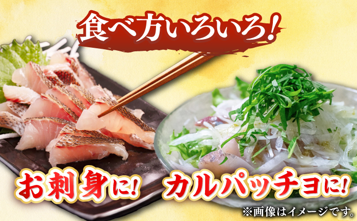 【全2回定期便】 【勝本漁港直送】壱岐島の刺身盛りセット ≪壱岐市≫【あかりや】 冷凍配送 刺身 小分け 産地直送 22000円 お刺身 刺し身 寿司 海鮮 [JFO005]