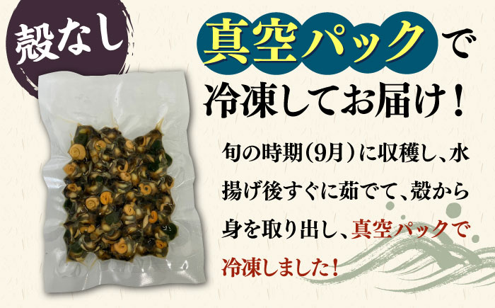 【年内発送】ボイル ミナ貝 450g（殻付き300g・殻剥き150g）《壱岐市》【鈴の海庭】 貝 魚貝 海産物 ボイル 刺身 小分け おつまみ サザエ ニナ貝 シッタカ [JFV001]
