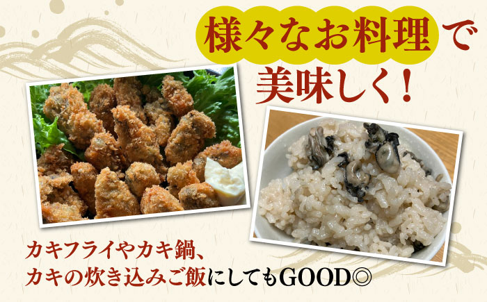 【年内発送】【季節限定】 天然 岩カキ 100g×2パック（生食用）《壱岐市》【鈴の海庭】 牡蠣 カキ 岩牡蠣 貝 魚貝 海産物 おつまみ カキフライ 鍋 カキ鍋 牡蠣鍋 カキ飯 [JFV002]
