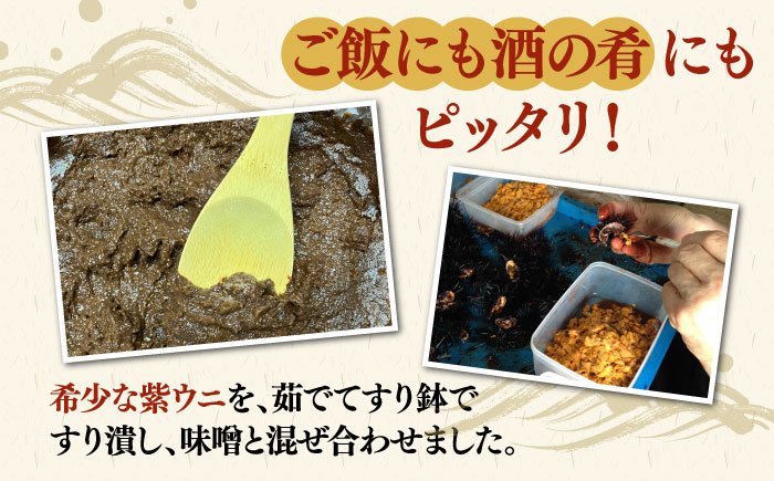 【年内発送】【数量限定】 うにみそ 50g×2本 《壱岐市》【鈴の海庭】 ウニ 雲丹 ウニ味噌 海産物  紫ウニ 珍味 おつまみ ご飯のお供 がぜみそ [JFV003]