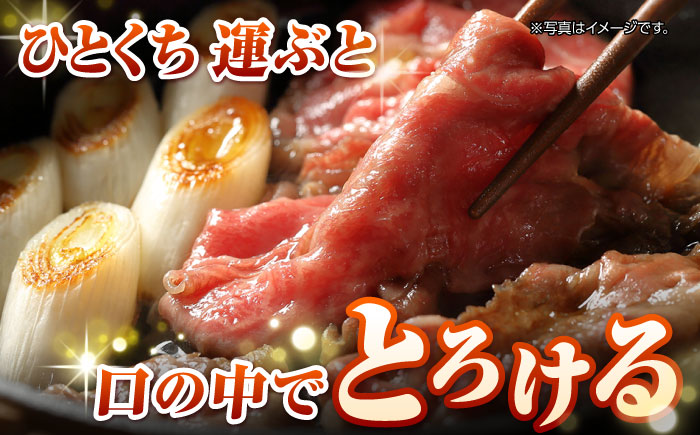 【最高級A5ランク】長崎和牛 極上 サーロインスライス 400ｇ（すき焼き・しゃぶしゃぶ用）《壱岐市》【肉の相川】 牛肉 牛 和牛  霜降り 霜ふり しゃぶしゃぶ すき焼 すき焼き 贈答 ギフト 贈り物 お中元 お歳暮 冷凍配送 A5 [JGB018] 30000 30000円 3万円