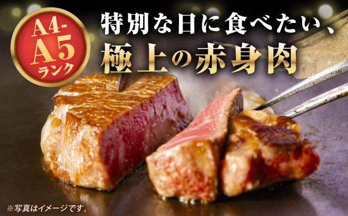 【A4~A5ランク】長崎和牛 極上 ヒレステーキ 600g（150g×4枚）《壱岐市》【野中精肉店】 黒毛和牛 牛肉 和牛 赤身 希少部位 43000円 43000 [JGC002]