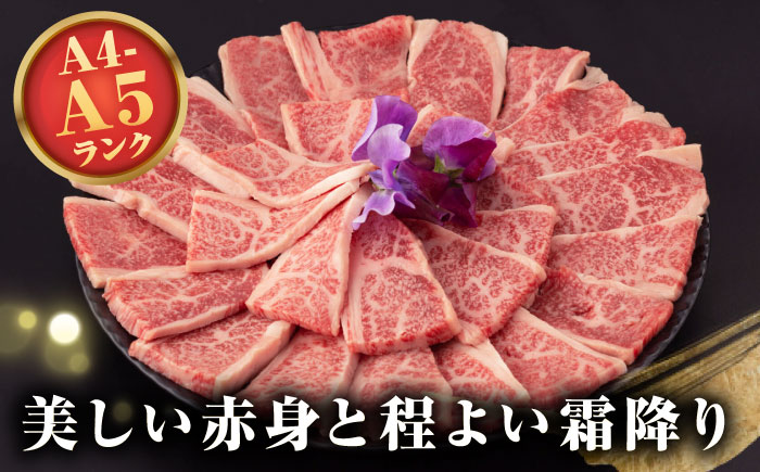 【全12回定期便】【A4～A5ランク】長崎和牛 焼肉用 上カルビ 500g《壱岐市》【野中精肉店】 牛 牛肉 和牛 赤身 焼肉 焼肉用 カルビ BBQ バーベキュー ギフト 贈答用 冷凍配送 A4 A5 [JGC038]