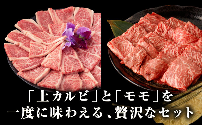 【全12回定期便】【A4～A5ランク】長崎和牛 焼肉用 モモ・上カルビ 総計900g《壱岐市》【野中精肉店】 牛 牛肉 和牛 赤身 焼肉 焼き肉 カルビ BBQ バーベキュー 食べ比べ ギフト 贈答用 冷凍配送 A4 A5 [JGC042]