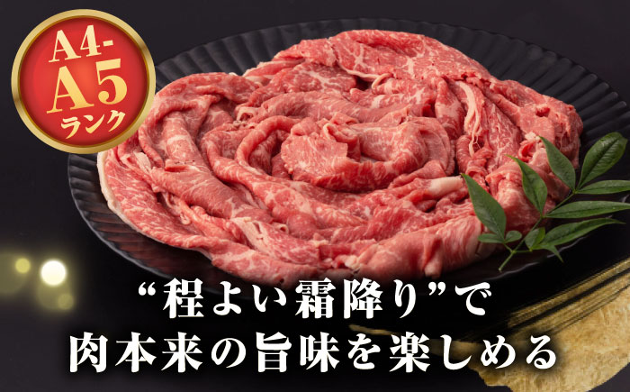 【全6回定期便】【A4～A5ランク】長崎和牛 モモスライス 400g（しゃぶしゃぶ・すき焼き用）《壱岐市》【野中精肉店】 牛 牛肉 和牛 国産 長崎和牛 霜降り しゃぶしゃぶ すき焼用 モモ ギフト 贈答用 冷凍配送 A4 A5 [JGC045]