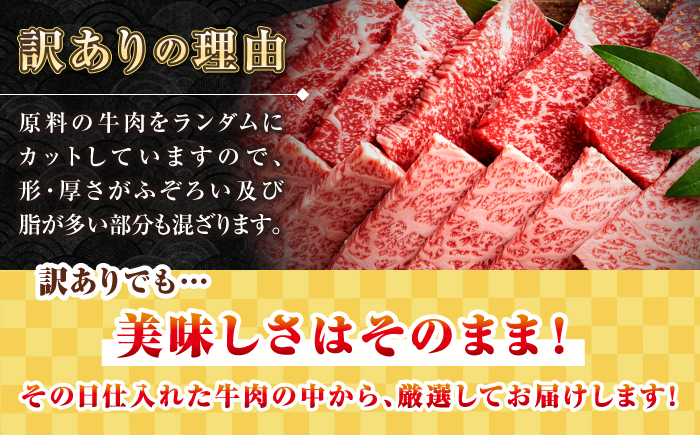 【全2回定期便】【訳あり】【A4～A5ランク】長崎和牛 焼肉切り落とし 500g (肩ロース・バラ）《壱岐市》【株式会社MEAT PLUS】 肉 牛肉 黒毛和牛 焼き肉 ご褒美 焼肉 焼肉用 ギフト 贈答用 ご褒美 冷凍配送 A4 A5 [JGH115]
