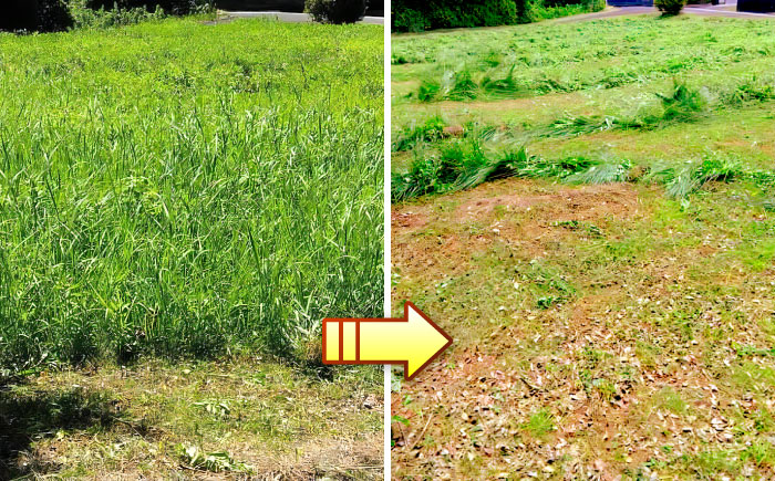 草刈り・墓地清掃・遺品整理等の代行チケット5,000円分《壱岐市》【便利屋とこしえ】 [JGX001] サービス