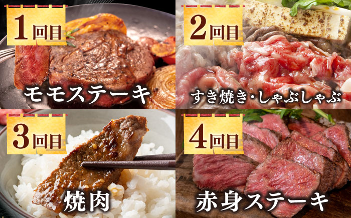 【全12回定期便】《50万》 壱岐牛＆長崎和牛 ギュギュギュ 定期便 （壱）《壱岐市》 肉 ステーキ 焼肉 しゃぶしゃぶ すき焼き 赤身 [JZX010]