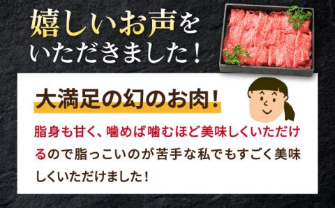 特選 壱岐牛 切り落とし （450g）【太陽商事】[JDL001] 肉 牛肉 和牛 黒毛和牛 焼肉 小間切れ 赤身 切落し 13000 13000円