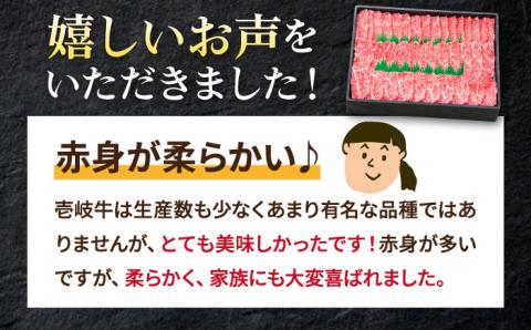【全12回定期便】 特選 壱岐牛 モモ 500g （焼肉）《壱岐市》【太陽商事】[JDL036] 肉 牛肉 モモ 赤身 焼肉 BBQ 264000 264000円 24万円
