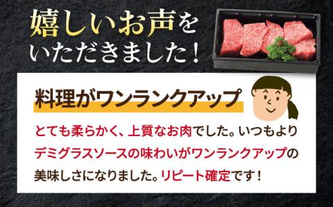特選 壱岐牛 すね肉 500g（カレー・シチュー用）《壱岐市》【太陽商事】[JDL020] 肉 牛肉 カレー シチュー 和牛 赤身 チマキ 13000 13000円 その他・加工品