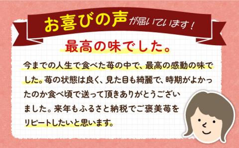 【先行予約】いちご イチゴ 苺 ゆめのか・恋みのり 計 1kg「ゆめ恋セット」【2026年2月以降順次発送】《壱岐市》【蒼花】 [JEO001] 15000 15000円