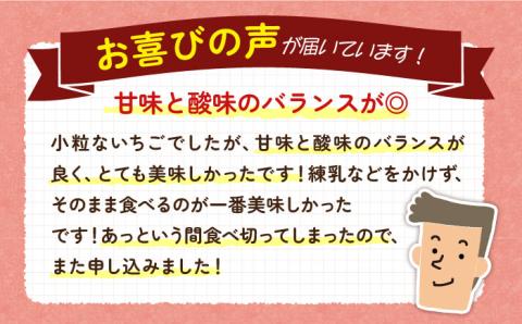 【先行予約】お徳用 いちご 1kg【2026年2月以降順次発送】《壱岐市》【蒼花】 [JEO002]イチゴ 苺 バラ詰め ゆめのか 恋みのり  中玉小玉サイズ 10000 10000円