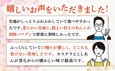 壱岐銘菓元祖丸善のかすまき 《壱岐市》【丸善菓子舗】[JCI001] 10000 10000円  かすまき・カステラ