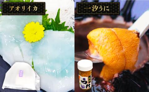 【全6回定期便】壱岐島こだわりセット   詰め合わせ サーロイン  ヒレ ヒレステーキ アジフライ うに ウニ 定期便 [JAA008]   30万 300000 300000円 30万円