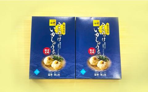 焼売 ウニ のっけ いかしゅうまい 2箱 セット 《壱岐市》【大幸物産株式会社】 うに イカ いか シュウマイ [JEH017] 17000 17000円