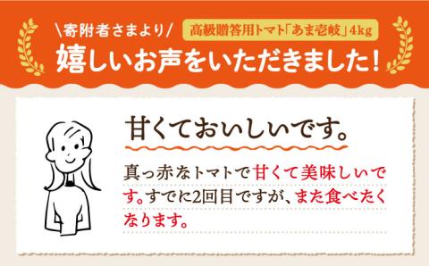 ミディトマト  約4kg 高級贈答用「あま壱岐」  [JAE005] 野菜 ギフト プレゼント 贈り物 28000 28000円