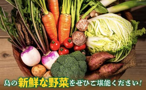 【全3回定期便】旬の野菜セット 7品 [JBO044] 野菜 やさい 旬 セット 詰め合わせ 30000 30000円