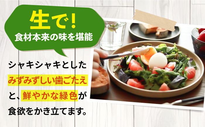 【先行予約】野菜 アスパラガス 壱岐産 1kg（L~2Lサイズ）【2026年3月以降順次発送】《壱岐市》【壱岐市農業協同組合】[JBO004] アスパラ 14000 14000円