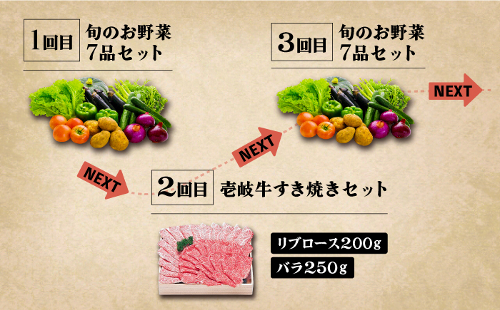 【全6回定期便】《A4～A5ランク》壱岐牛と旬の野菜定期便《壱岐市》【壱岐市農業協同組合】 [JBO078] 《A4～A5ランク》肉 黒毛和牛 野菜 旬 詰め合わせ 贅沢 BBQ 160000円 16万円