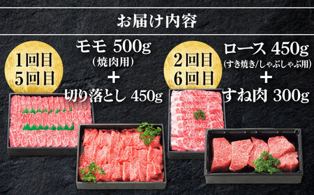 【全8回定期便】 特選 壱岐牛 プラスワン（＋1） 定期便 《壱岐市》【太陽商事】[JDL097] ステーキ サーロイン モモ 焼肉 すき焼き しゃぶしゃぶ   30万 300000 300000円 30万円