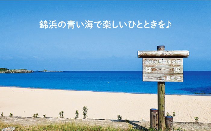 ダイビング  体験  錦浜 《壱岐市》【シーガルイン】[JAB002] 旅行 海 アウトドア ダイビング 33000 33000円