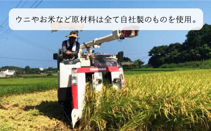 レンジで簡単 うに飯4個セット 味噌玉付き【シーガルイン】《壱岐市》【シーガルイン】[JAB004]  ご飯 味噌 みそ 炊き込み 14000 14000円