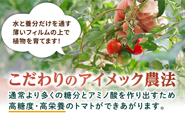 あま壱岐100％！トマトジュース 500ml×6本 《壱岐市》【壱岐の潮風】 トマト とまと 100% 無添加 野菜ジュース ソフトドリンク ギフト プレゼント 飲料 贈答 冷蔵配送 41000 41000円  [JAE011]