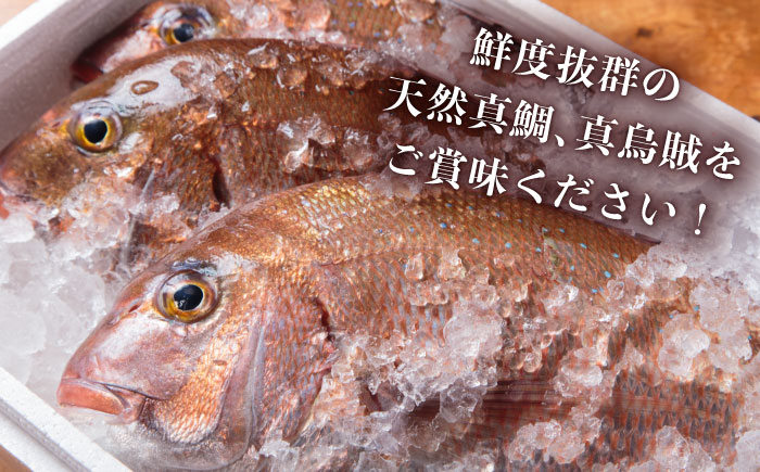 【全3回定期便】島茶漬け（天然鯛・烏賊／4人前ギフトセット） [JAI010] 定期便 鯛 タイ イカ お茶漬け 48000 48000円