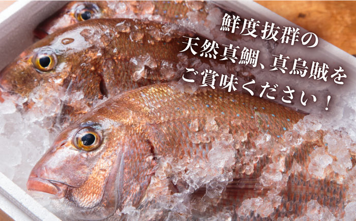 【全6回定期便】島茶漬け（天然鯛・烏賊／4人前ギフトセット） [JAI011] 定期便 鯛 タイ イカ お茶漬け 96000 96000円