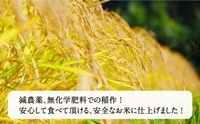 無洗米 炊飯に手間掛け米（まい）！ 2合 × 9個 [JAP015] 時短 小分け 13000 13000円