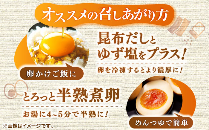 【全2回定期便】特選 素直な恋たまご 30個 《壱岐市》【しまのたまご屋さん】  卵 たまご 鶏卵 玉子 ギフト 国産 卵かけご飯 たまごかけご飯 のし 定期便 [JAP018]
