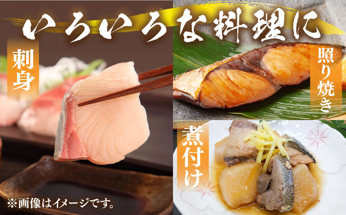 【9～12kg台】 寒ブリ 3枚おろし《壱岐市》【魚助】  刺身 お刺身 刺し身 フィレ 海鮮 海産物 [JFX006] 200000 200000円 20万円