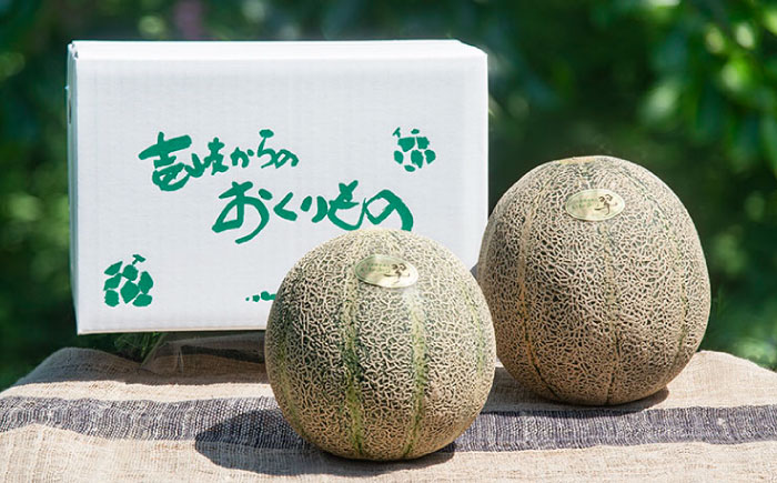 【先行予約】アムスメロン 翠 大箱 3~6個入り 【2026年6月中旬以降順次発送】《壱岐市》【フレッシュメイト壱岐】[JAZ005] 20000 20000円