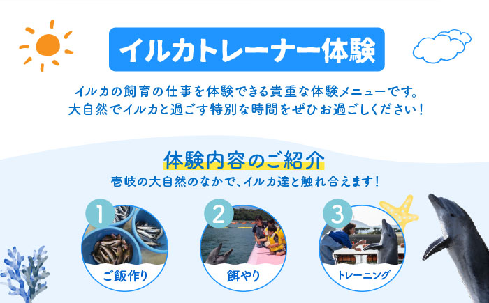 1日イルカトレーナー体験 《壱岐市》【壱岐イルカパーク＆リゾート】[JBF002] 50000 50000円 5万円